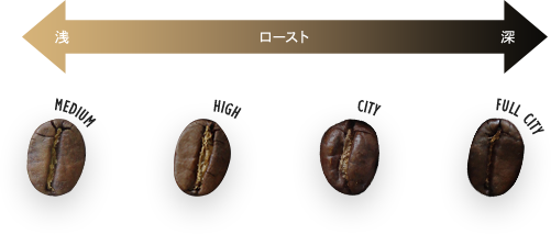 ���[�X�g�\