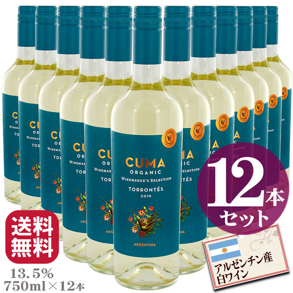 �N�}�I�[�K�j�b�N�g�����e�X 