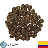 �R�����r�A �i���[�j�� �X�v����