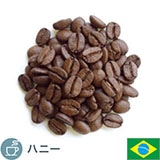 �u���W���A����