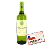 �e�B�G�� �k�G�o �����C�� �g���f�B�b�V���� �\�[���B�j�����u���� �i�V�T�O�����j