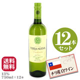 �e�B�G�� �k�G�o �����C�� �g���f�B�b�V���� �\�[���B�j�����u����×�P�Q�{ ��������