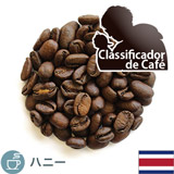 限定品 コスタリカ グラニートス オルティス1900 ゲイシャ