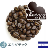 限定品 ホンジュラス パトリアルカ