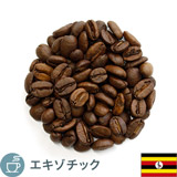 ����i �E�K���_ �A�t���J�����[�� �h���L�[