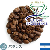 ����i COE2024 �j�J���O�A �� �C���[�W�����_��