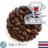 ����i COE2024 H&N �R�X�^���J �� �G���_��