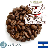 ����i COE2024 Exp. �G���T���o�h�� ���X �f���V�A�X