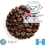 ����i COE2024 OOAK �O�A�e�}�� ���X �R�l�z�X