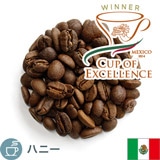 ����i COE2024 T/W ���L�V�R �^�v���_��