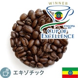 ����i COE2024 �G�`�I�s�A �A�U���` �i�`������