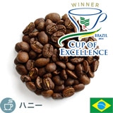 ����i COE2024 W&H �u���W�� ���G�e�_��