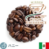 ����i COE2025 Exp. ���L�V�R �R���w