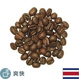 �R�X�^���J