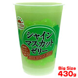 �����Y�V���C���}�X�J�b�g�[���[ 430g �i5���`12���̔��j�P�� �k�C�����Y����