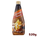 GS �L���������\�[�X 520g