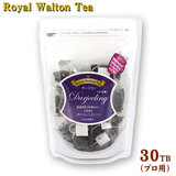 ���C�����E�H���g�� �_�[�W���� 30TB �C���h �v���p �O�p�e�B�[�o�b�O �W���p���E�e�B�[�E�g���[�f�B���O