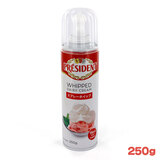 �v���W�f���g �X�v���[�z�C�b�v 250g