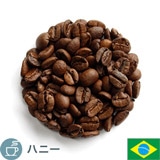 ����i �u���W�� �V���R��