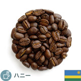 限定品 ルワンダ チビゴリラ