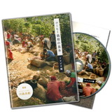 �y�X���݌ɕi�E���Ă�����z�R�[�q�[�͔|�̊�{�A���r�J��DVD �쓇�Ǐ�