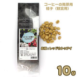 �u���W���Y �R�[�q�[�̔���p��q �Ϗܗp 10g�i��60���j�i��F���b�h�J�g�D�A�C