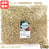 �u���W���Y �R�[�q�[�̔���p��q �Ϗܗp 1kg�i��6000���j�i��F���b�h�J�g�D�A�C ��������