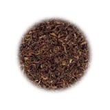 �y�g���z �_�[�W���� FTGFOP1 (50���ܓ���)