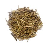 �y���{���z �傪�˂ق����� (50���ܓ���)