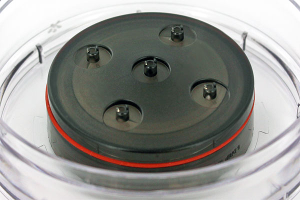 BEANPLUS �R�[���h�h���b�v X5 COLDDRIP X5 �T�z�[�� �E�H�[�^�[�R���g���[�� �o���u