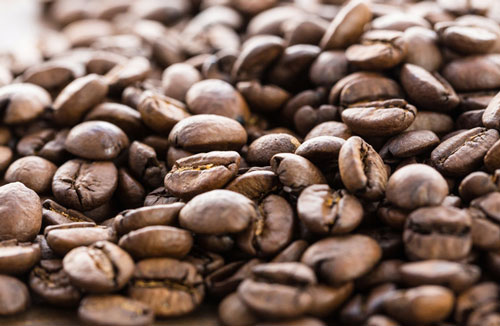 �R�[�q�[�����@ Hottop Coffee Roaster 