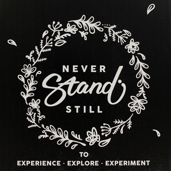 WPM HC7115ST WPM/IVY LKY �R���{���f�� �~���N�s�b�`���[ �V���[�v�X�p�E�g �X�e�����X