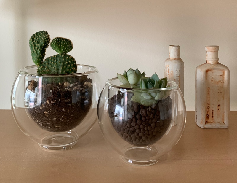 �~���U�L�H�� �_�u���E�H�[���J�b�v