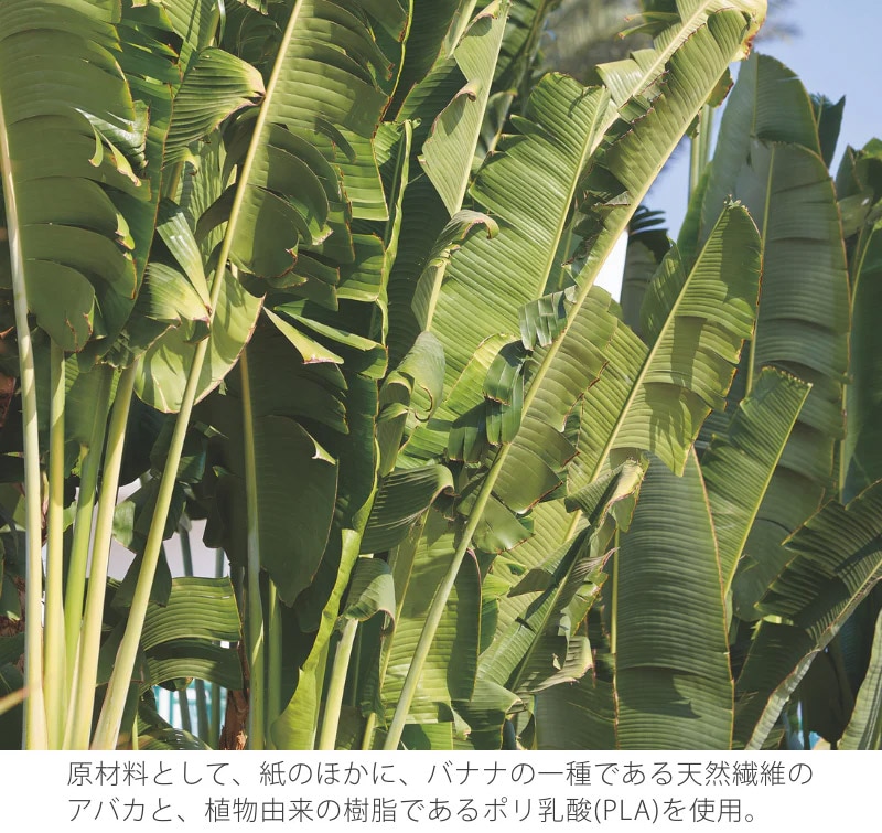 V60�R�[�q�[�y�[�p�[�t�B���^�[�E���e�I 