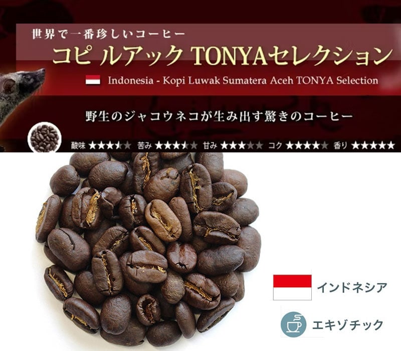 �R�s�E���A�b�N