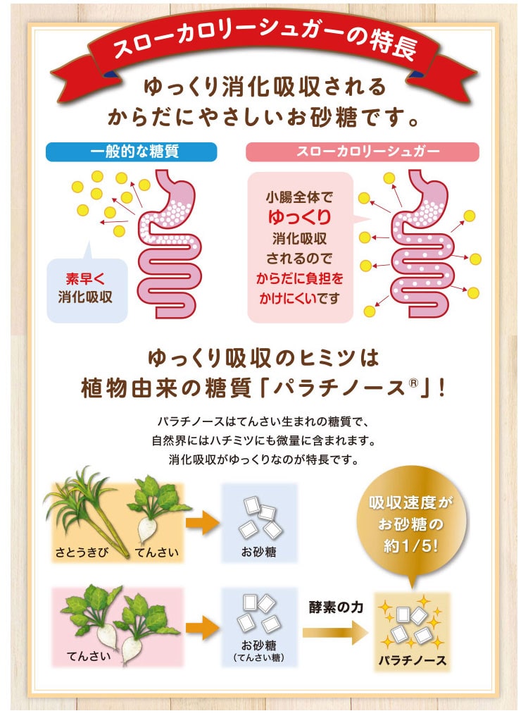 スプーン印ゆっくりと消化吸収されるお砂糖スローカロリーシュガー300g