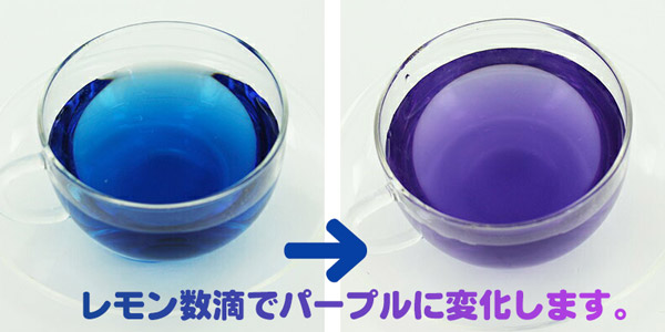 �o�^�t���C�s�[�e�B�[ ���F���s�g�p 1000ml / MORIYAMA ��R ���L�b�h �n�[�u�e�B�[