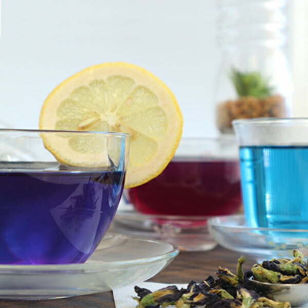 �o�^�t���C�s�[�e�B�[ ���F���s�g�p 1000ml / MORIYAMA ��R ���L�b�h �n�[�u�e�B�[