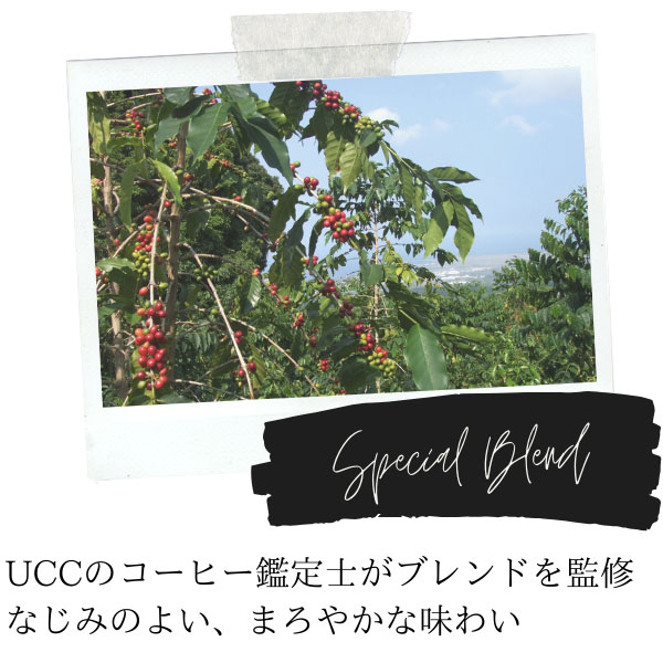 UCC �h���b�v�|�b�h 