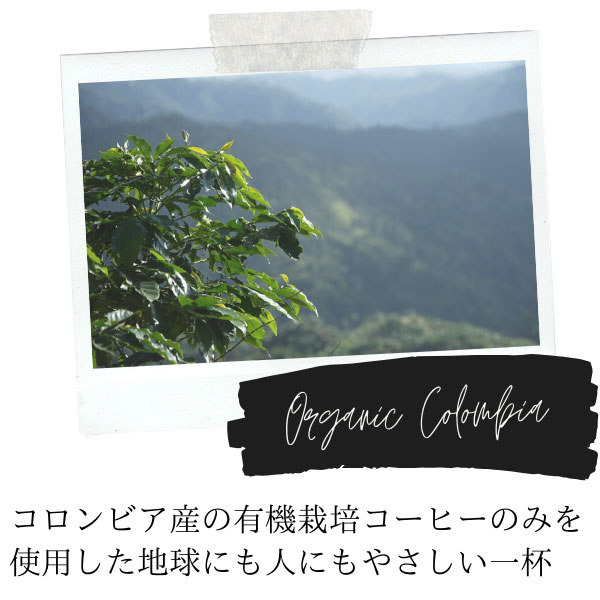 UCC ドリップポッド