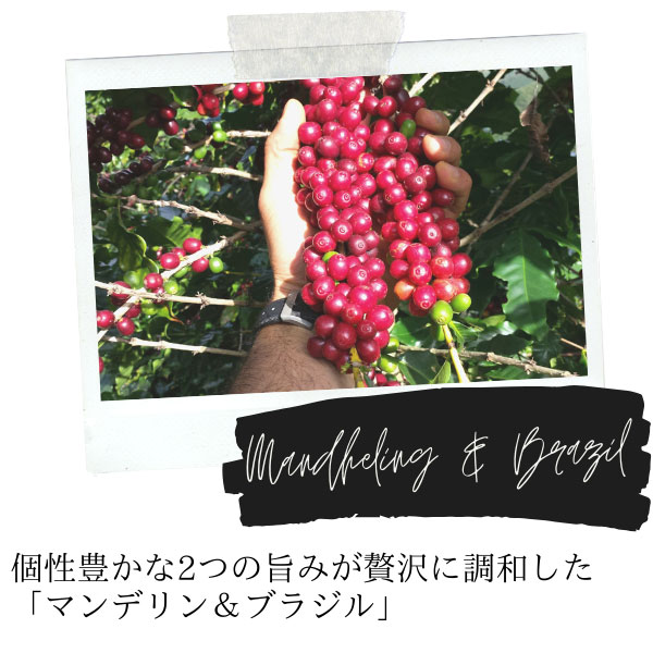 UCC ドリップポッド