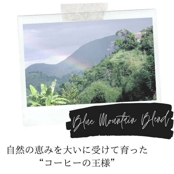 UCC ドリップポッド