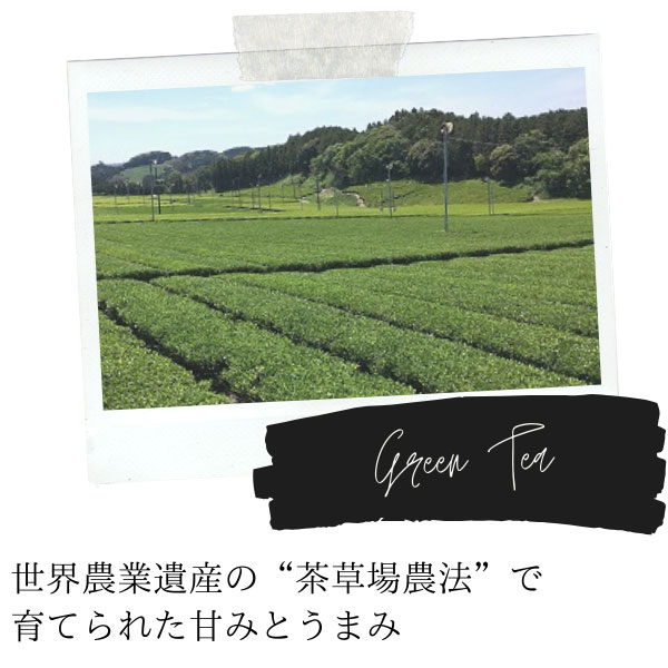 UCC �h���b�v�|�b�h 