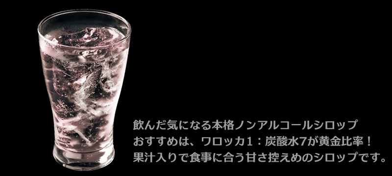 �����b�J �{�i�m���A���R�[���V���b�v