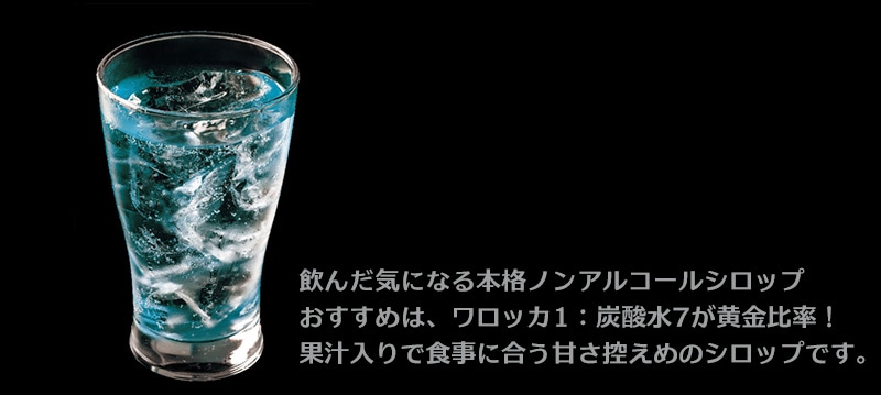 �����b�J �{�i�m���A���R�[���V���b�v