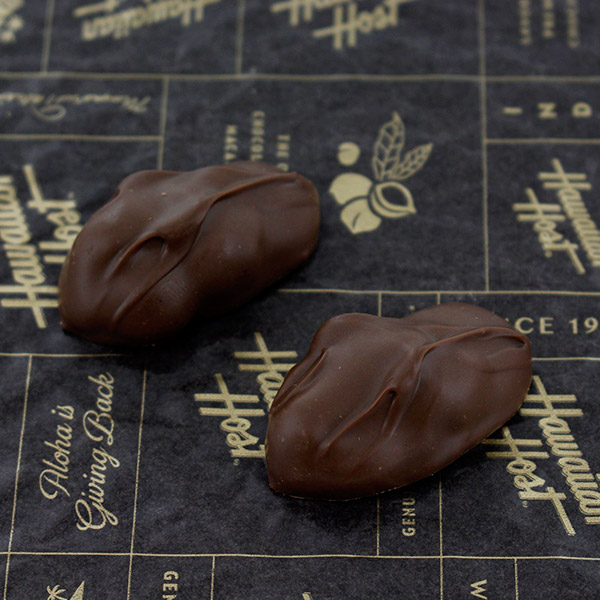 �n���C�A���z�[�X�g�}�J�f�~�A�i�b�c�`���R���[�g5oz 