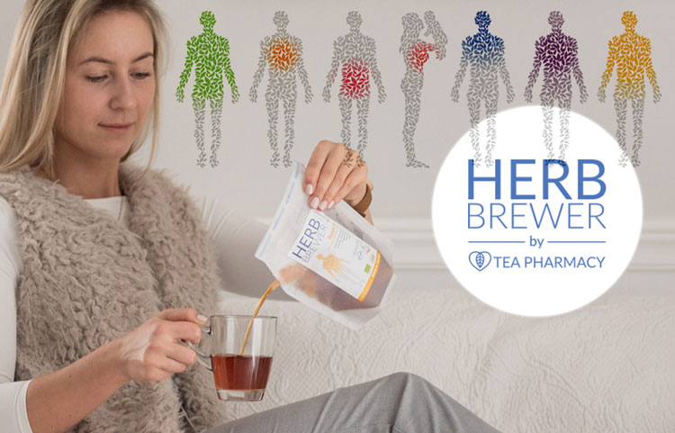 HARB BREWER�i�n�[�u�u�������[�j �V���[�Y