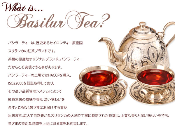 �o�V���[�e�B�[�i�X�������J�j