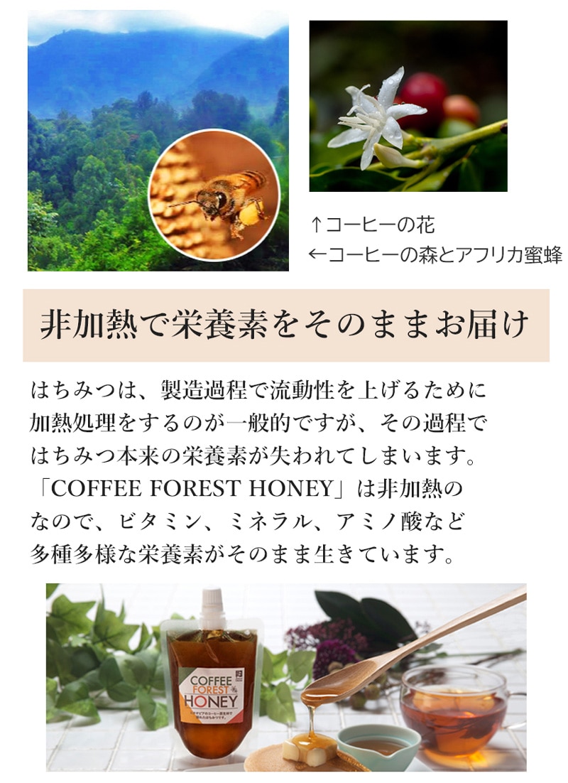 COFFEE FOREST HONEY �G�`�I�s�A�Y�n�`�~�c 170g