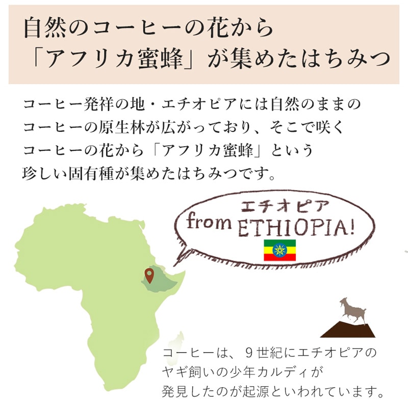 COFFEE FOREST HONEY �G�`�I�s�A�Y�n�`�~�c 170g